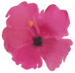 store_logo